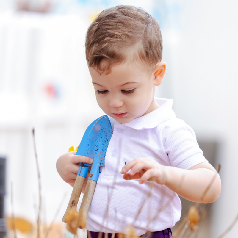 Westfield Nursery Nursery near City Walk, Dubai Purpose Built Nursery